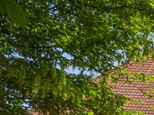 Brick town hall ensemble and small town hall square