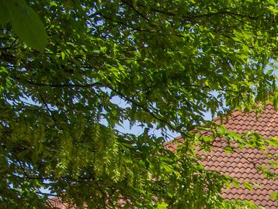 Brick town hall ensemble and small town hall square